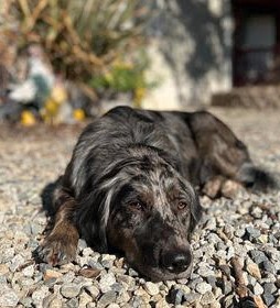 Picture of Ellie