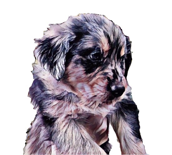 Kennel Logo